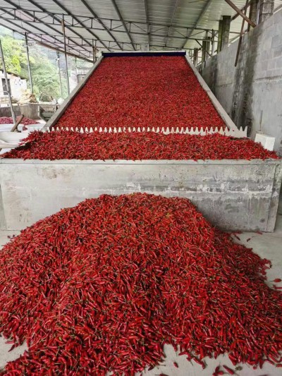 60万大卡生物质颗粒热风炉应用在辣椒烘干